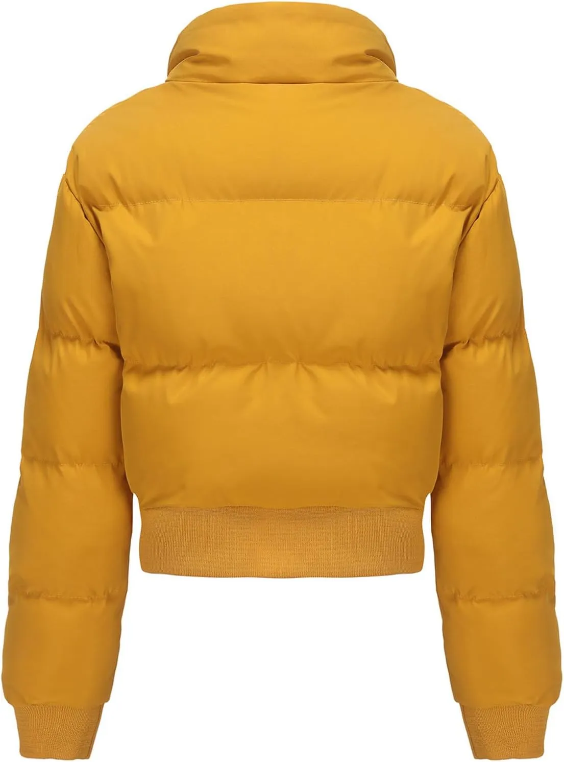 Women's Winter Cropped Puffer Jacket Long Sleeve Oversized Stand Collar Zip-Up Short Down Coat Fashion Solid Outwear